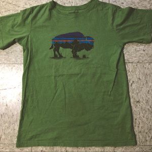 PATAGONIA FITZ ROY BISON T-SHIRT